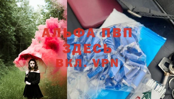 эйфоретик Арсеньев