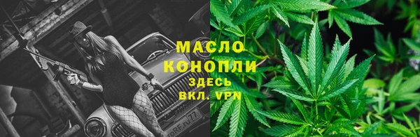 дмт Аркадак